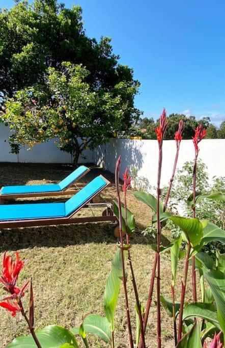 Terra Da Lagoa - Villa Near The Beach & Lagoon Nadadouro Екстер'єр фото